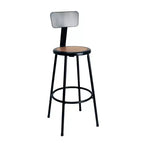 Hampden Furnishings 30" Felix Collection Steel Stool with Backrest Black